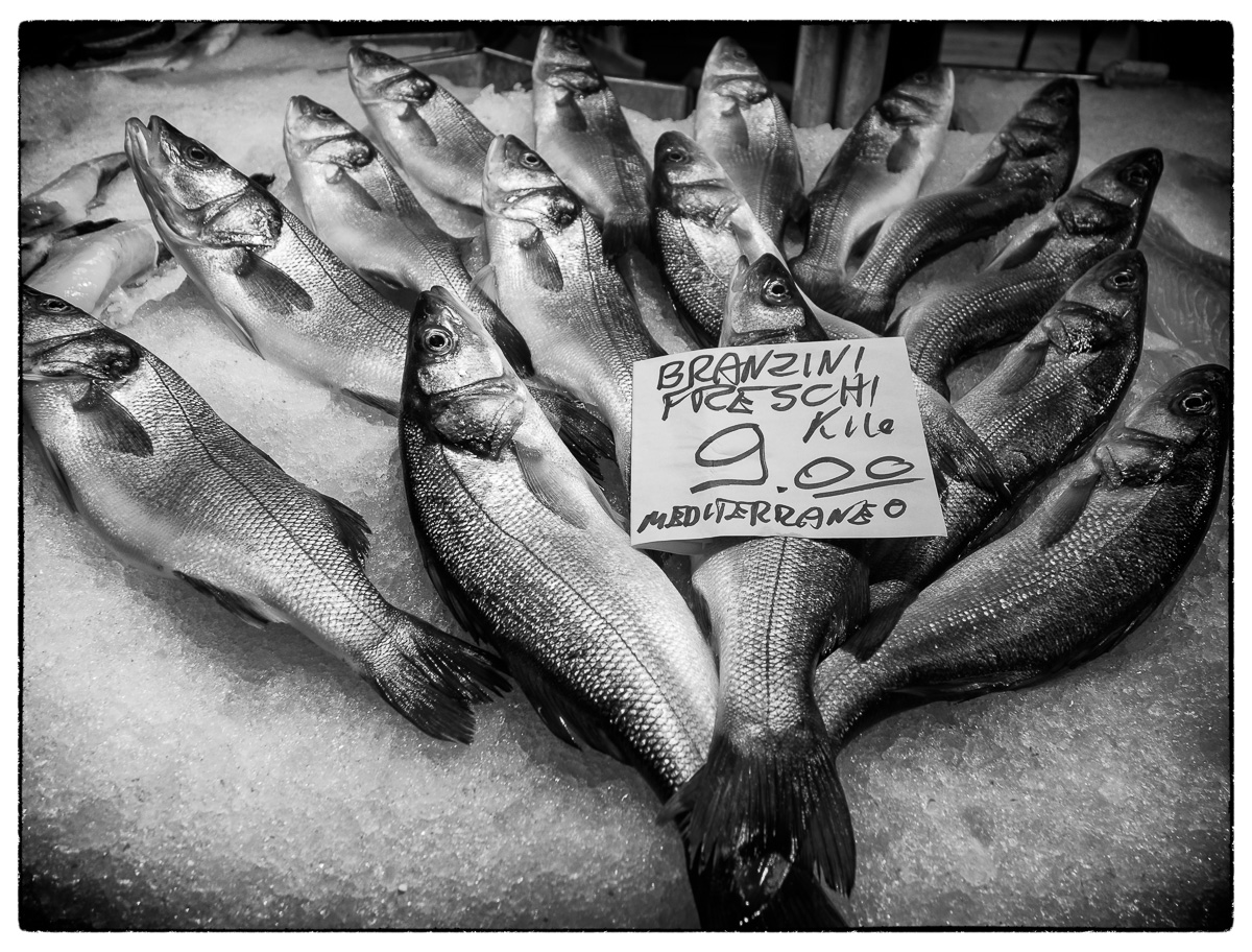 Venedig - Mercato - Fische