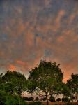Bäume Abendrot Wolken Himmel HDR