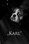 "Karl"