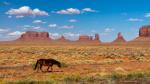 Pferd Monument Valley ohne Häuser