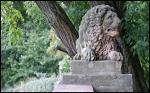 Löwen-Statue auf dem Neroberg