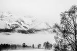 Alpen im Nebel