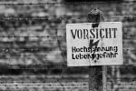 Auschwitz_3