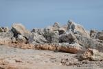 Spitz und scharf: Steine am Cap Salines