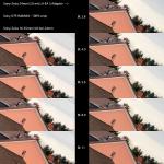 Vergleich 24mm Zoom vs. Festbrennweite_Halbfeld