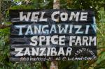 Tangawizi Spice Farm