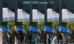 100%Crops, Alpha900, 12MP