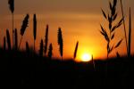 Sonnenuntergangsbild von Canax beschnitten