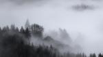 Christophberg im Nebel