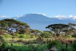 Amboselicamp