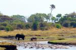 Katavi Nationalpark Tansania
