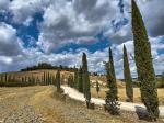 Val D’Orcia5