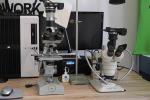Mikroskop-Fotografie