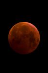 "Bloody Moon" - Lunar Exclipse (2019/01/21)