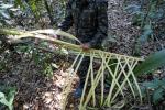 Survivaltraining im Amazonasdschungel