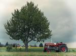 Traktor an Baum