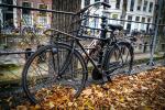 Herbstliches Fahrrad