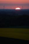 Rapsfeld und Sonnenuntergang