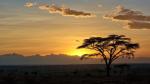 Sunrise Serengeti