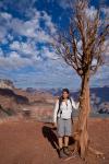 Baum im Grand Canyon