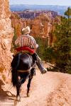 Cowboy im Bryce Canyon