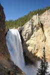 Lower Falls Grand Canyon of the Yellowstone