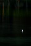 Einsam auf dem Jägersee