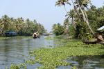 Kerala Backwaters 2008