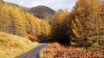 Herbst in den Highlands 17