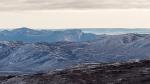 Tundra Grönland
