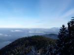 Schwarzwald auf dem Blauen