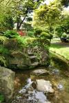 Japanischer Garten in Kildare 1