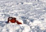 Roter Stein im Schnee