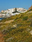 Blick auf Chora Naxos