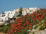 Blick auf Chora Naxos