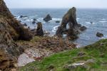 Crohy Head Sea Arch