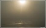 Ostsee im Nebel III