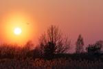 Sonnenuntergang bei Cisowka