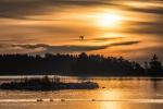 Sonnenaufgang in Schweden