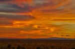 Serengeti Sunset