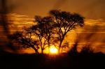 Kalahari - The Right Moment