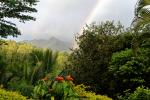 Regenwald Mauritius