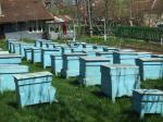 Blaue Bienenkästen