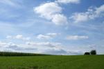 Wolken, Mais & Brachland