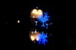 Blaue Nacht Nürnberg Insel der blauen Bäume