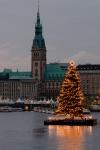 Hamburg - Rathaus mit Weihnachtsbaum