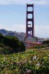 Golden Gate 2_1