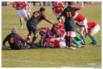 Rugby 07