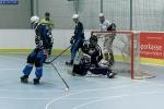 Skaterhockey: Goal