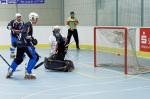 Skaterhockey: Goal